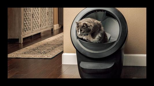 What frequent travelers should consider when choosing between litter robot 3 vs 4
