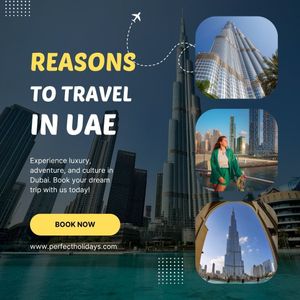 Why Do You Want to Come to the UAE?