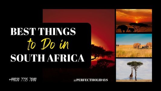 Top 13 of The Best Things to Do in South Africa