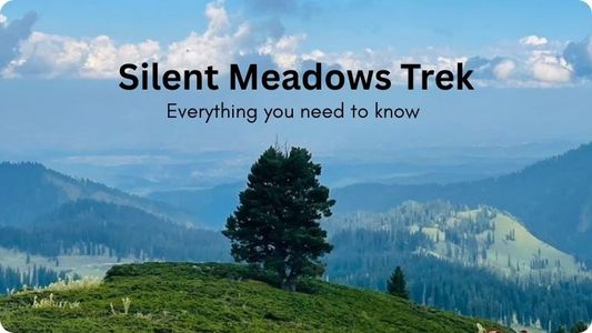 Silent meadows trek-Everything you need to know