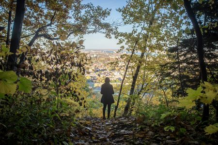 Best Time to Do Sky Views Edge Walk: Day vs Sunset vs Night
