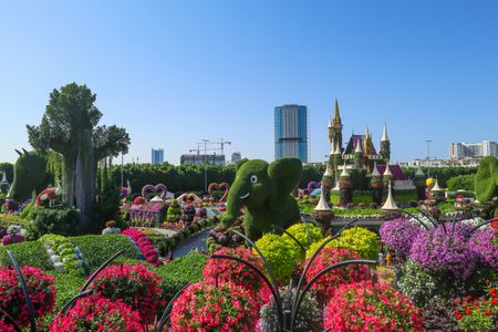 Global Village Dubai vs Dubai Miracle Garden: Which One Should You Visit?