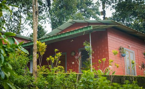 Experience Nature at Yedamakky Plantations – A Perfect Coffee Plantation Homestay in Coorg