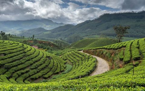Is Kerala Safe for Solo Travelers in 2026?