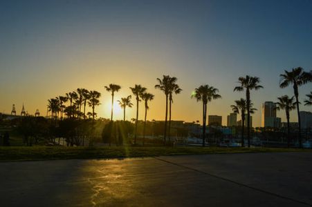 Professional Black Car Service in Long Beach and Orange County