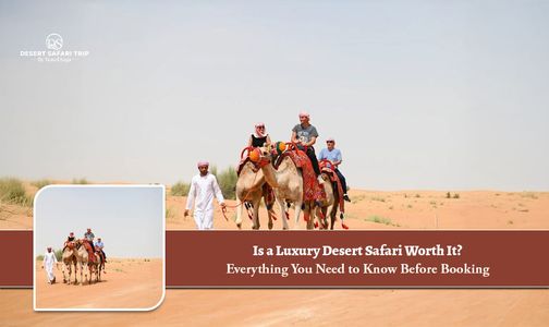 Is a Luxury Desert Safari Worth It? Everything You Need to Know Before Booking