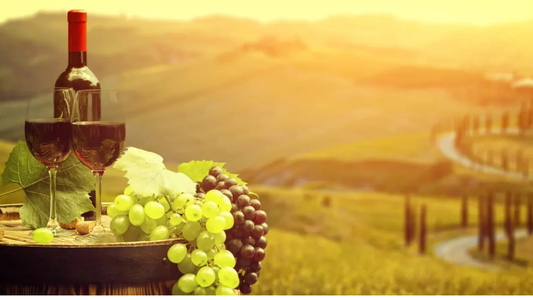 Planning your first wine tour in Bangalore