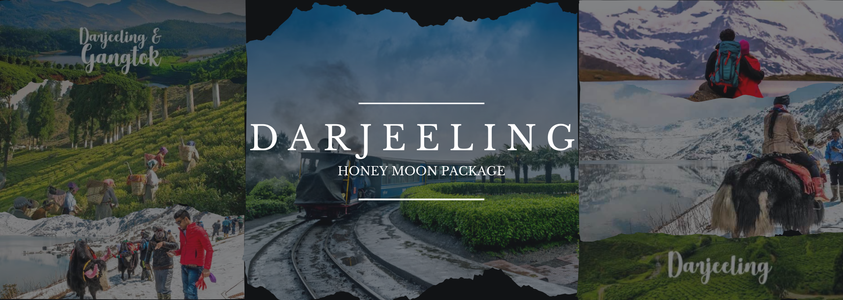 Darjeeling: The Most Honest Honeymoon Story You Will Read
