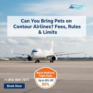 Can You Bring Pets on Contour Airlines? Fees, Rules & Limits