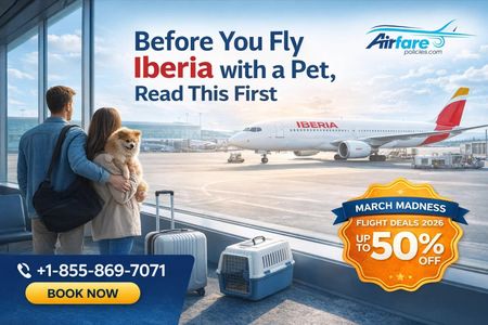 Before You Fly Iberia with a Pet, Read This First