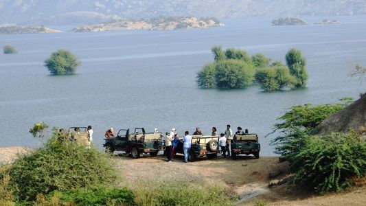 Why Jawai Leopard Safari Should Be Your Next Adventure