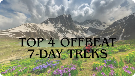 Top 4 Offbeat 7-Day Treks in Kashmir You Must Explore