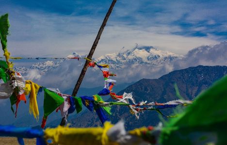 Best Spring Treks in India for Stunning Blooming Landscapes