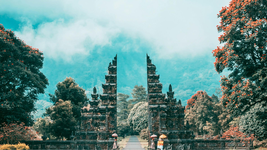 First Time in Bali? Complete Travel Guide for Indians