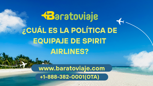 ¿Cuál es la política de equipaje de Spirit Airlines?