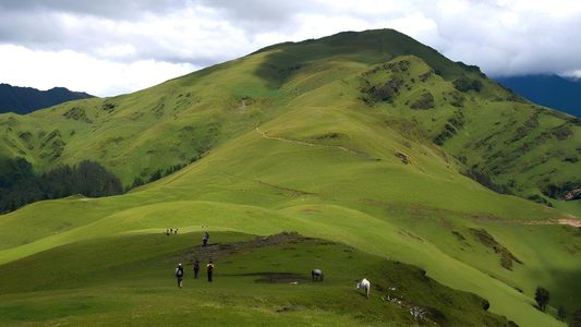 The Changing Colors of ali Bedni Meadows Across Seasons