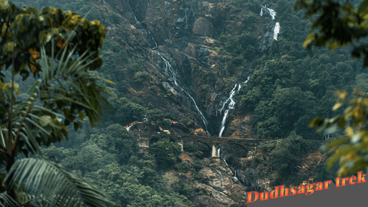 Dudhsagar Trek – Complete Guide for First-Time Visitors