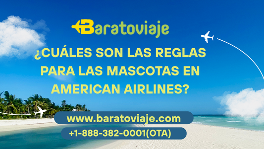 ¿Cuáles son las reglas para las mascotas en American Airlines?