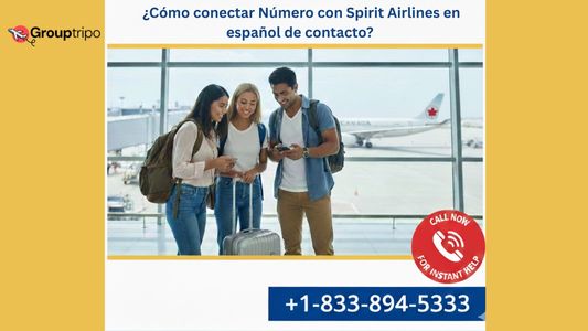 ¿Cómo conectar Número con Spirit Airlines en español de contacto?