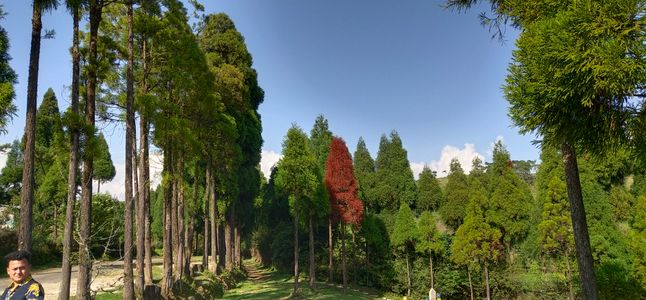 Your Reliable Airport Ride – Shillong Airport Taxi Service