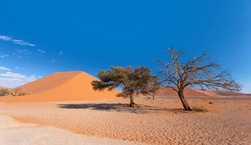 Namibia e-Visa for Liechtenstein Citizens