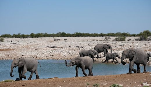 Namibia e-Visa for Mauritania Citizens – Application Process Guide