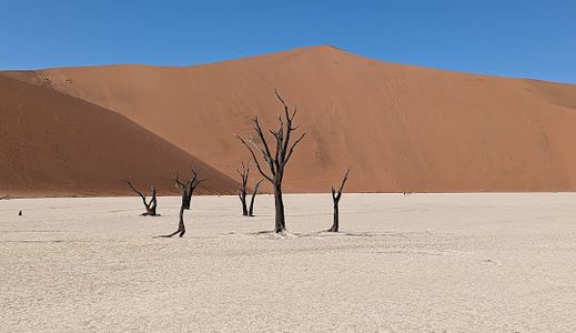 Namibia e-Visa for Luxembourg Citizens – Online Application Guide