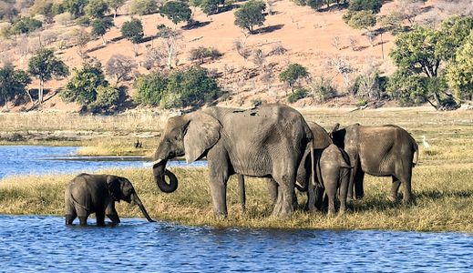 Apply Botswana eVisa from Bermuda – Requirements & Apply Online Guide