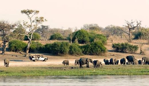 Apply Botswana eVisa from Benin – Online Application & Visa Guide