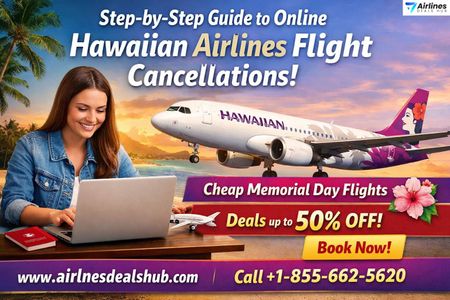 Step-by-Step Guide to Online Hawaiian Airlines Flight Cancellations