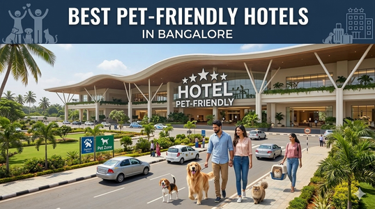 Best Pet Friendly Hotels in Bangalore