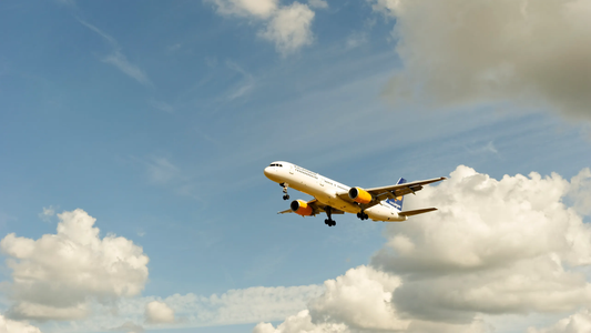 When to Book Hawaiian Airlines Flights: Best Time, Tips & Savings Guide