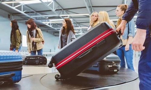 {{Pet~Policy~Help}} United Airlines Pet Policy 2026: How Much Does United Charge for a Pet?