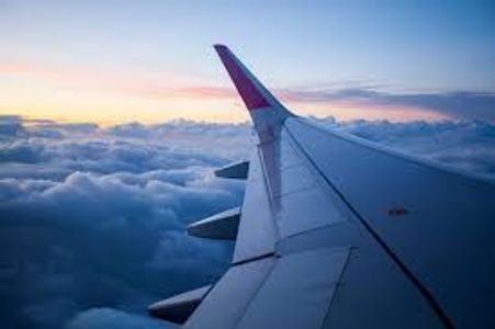 How do I check JetBlue flight status?