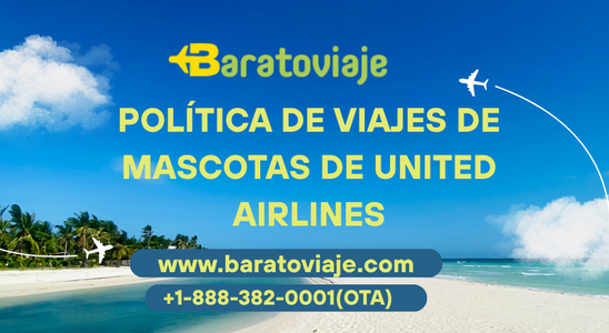 Política de viajes de mascotas de United Airlines