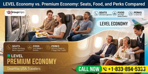 LEVEL Economy vs. Premium Economy: Seats, Food, and Perks Compared