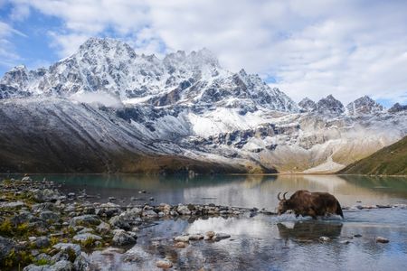 Gokyo Valley Trek Difficulty Explained: A Journey Step by Step