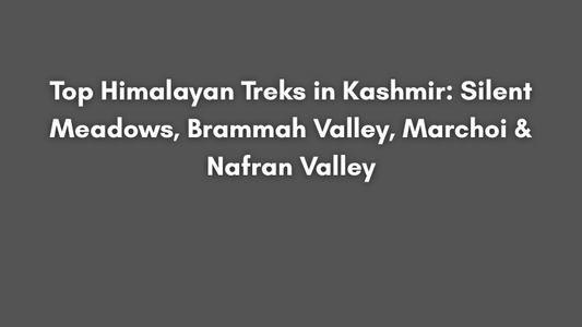 Top Himalayan Treks in Kashmir: Silent Meadows, Brammah Valley, Marchoi & Nafran Valley