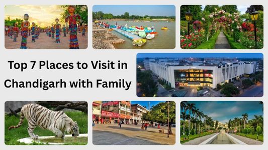 Top 7 Places to Visit in Chandigarh with Family
