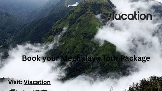 Meghalaya Tour Packages – A Complete Travel Experience in Northeast India