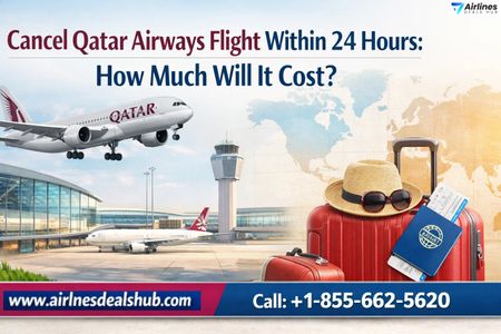 Cancel Qatar Airways Flight Within 24 Hours How Much Will It Cost