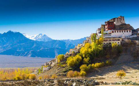 Adventure Activities in Ladakh You Must Try at Least Once