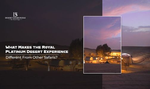 What Makes the Royal Platinum Desert Experience Different From Other Safaris?