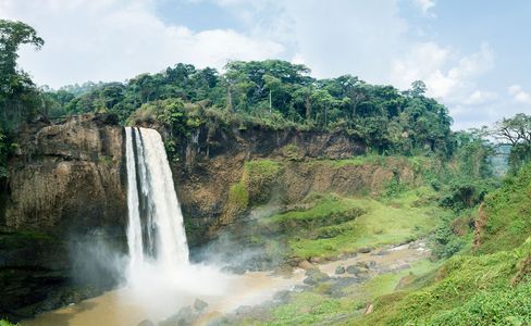 Apply for a Cameroon Visa with Simple Online Requirements