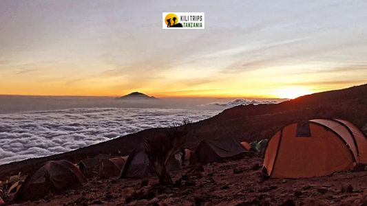 The Ultimate Kilimanjaro Planning Guide: Online Booking, Expert Routes, and Peak Success