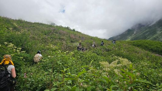 Valley of Flowers Trek | Mapping The Himalayas