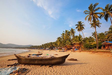 7 Stunning Bioluminescent Beaches in India You Must Visit