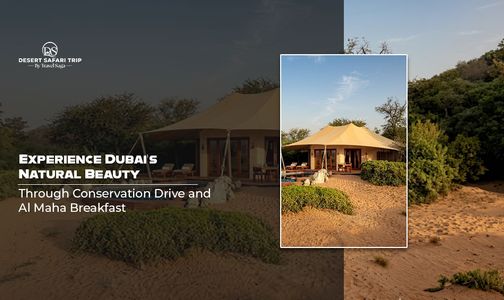 Experience Dubai’s Natural Beauty Through Conservation Drive and Al Maha Breakfast