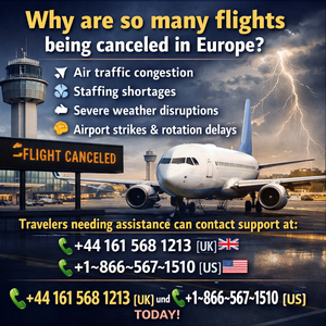 How to dispute a Spirit Airlines charge updated 2026