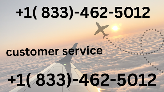 � Japan Airlines Service Animal Policy Updates 2026: {{ New Rules & Guidelines}}